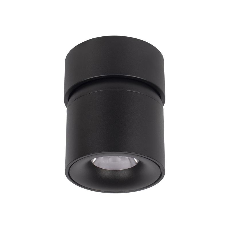Накладной светильник Tictac Loft It (Light for You) 10180 Black 4000K