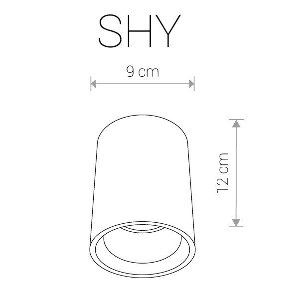 Потолочный светильник SHY 9390