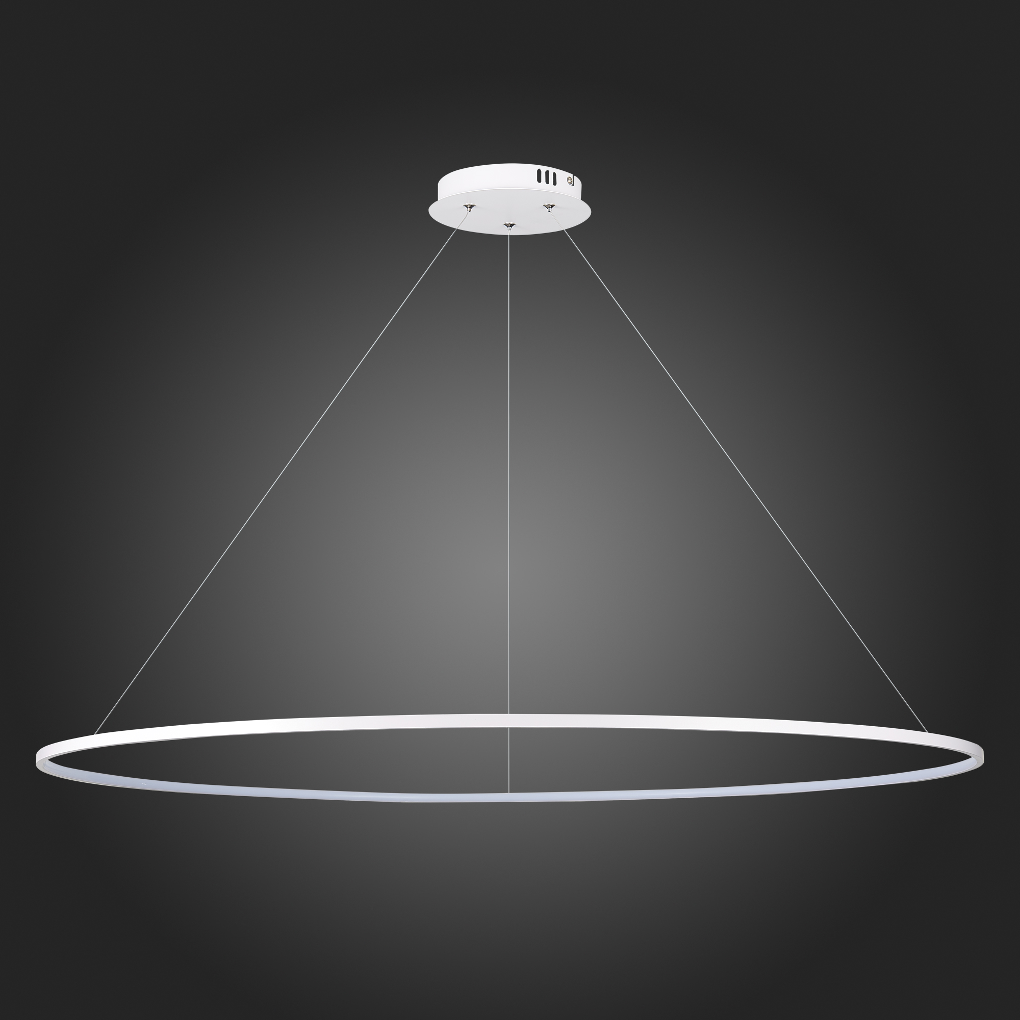 Светильник подвесной ST LUCE ERTO SL904.533.01