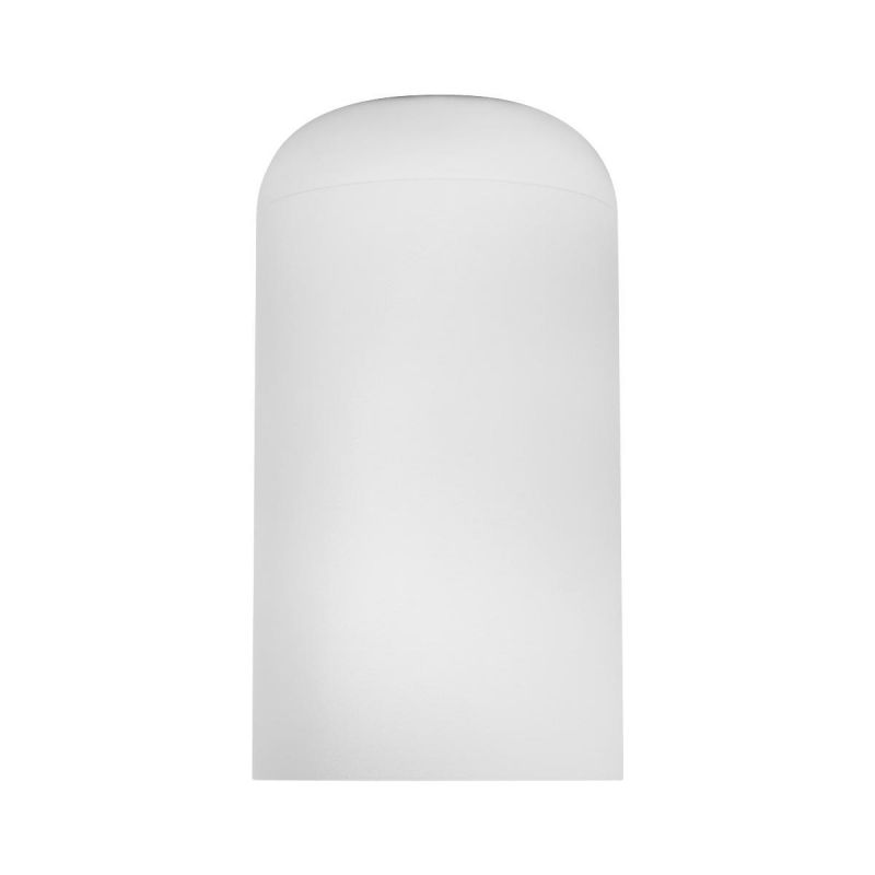 Потолочный светильник Tictac Loft It (Light for You) 10220 White 4000K