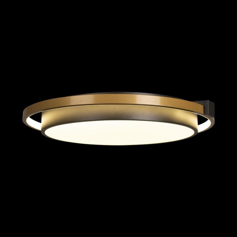Потолочный светильник Loft It (Light for You) Mike 10170