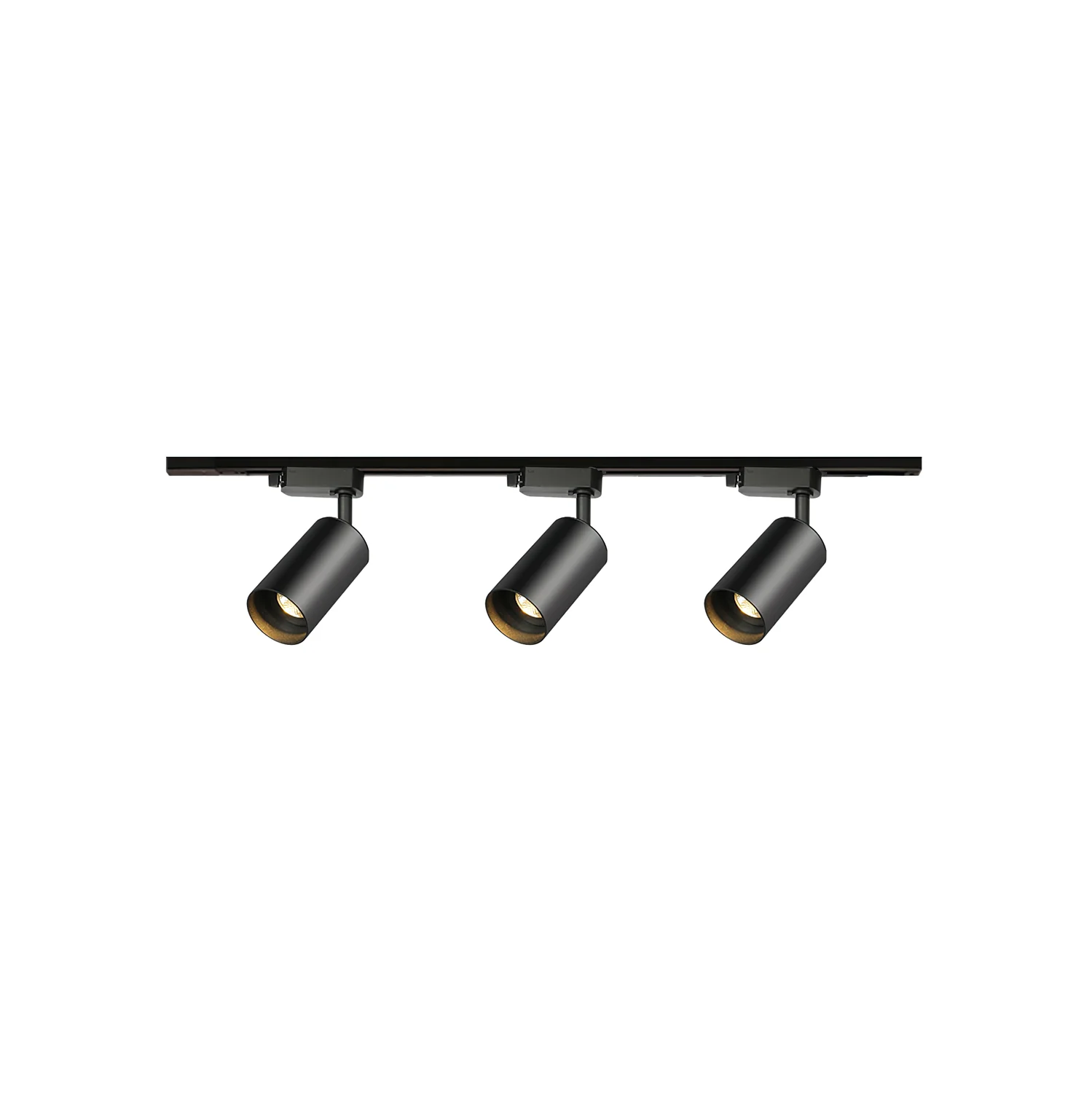 Трековый светильник Gilded Rail - 2 источника света 50см x 17см, черный, золотой