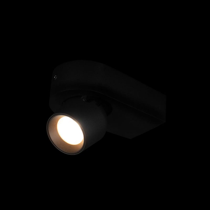 Накладной светильник LOFT IT Quiet 10320 Black
