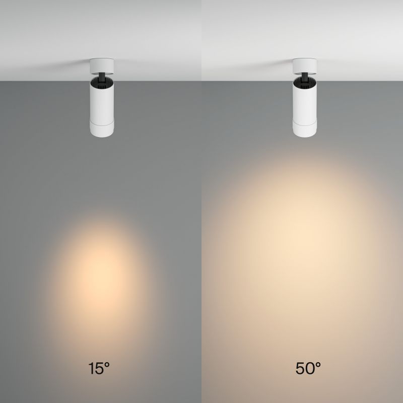Потолочный светильник Maytoni Technical C055CL-L12W3K-Z-W