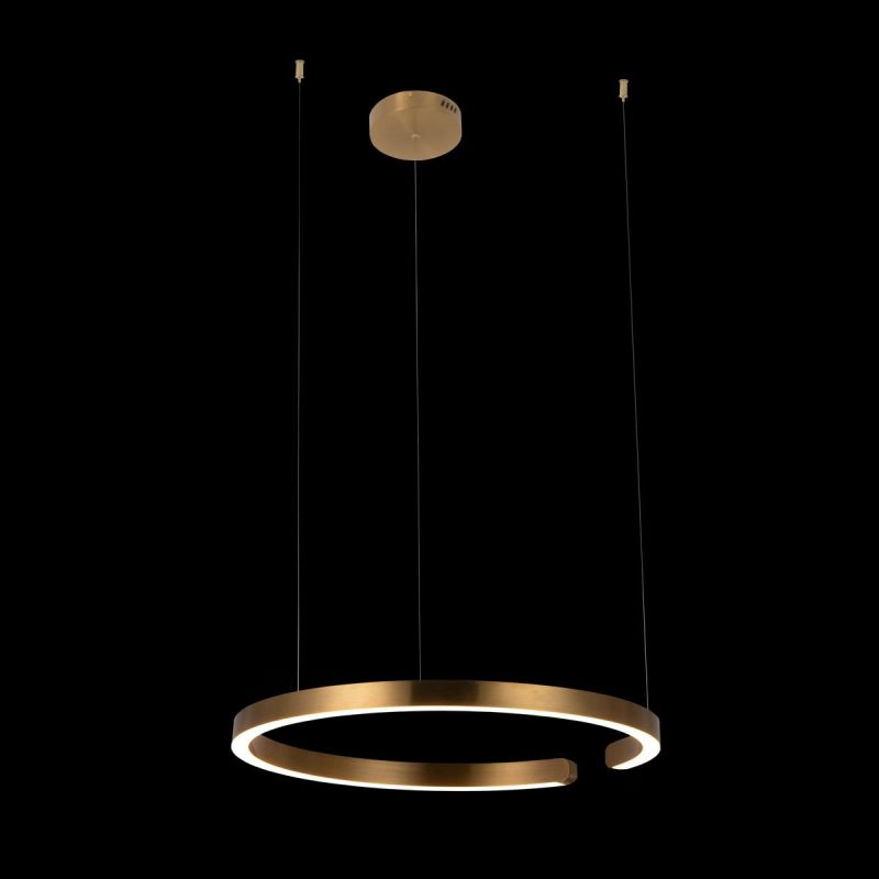 Светильник подвесной Loft It Ring 10013L