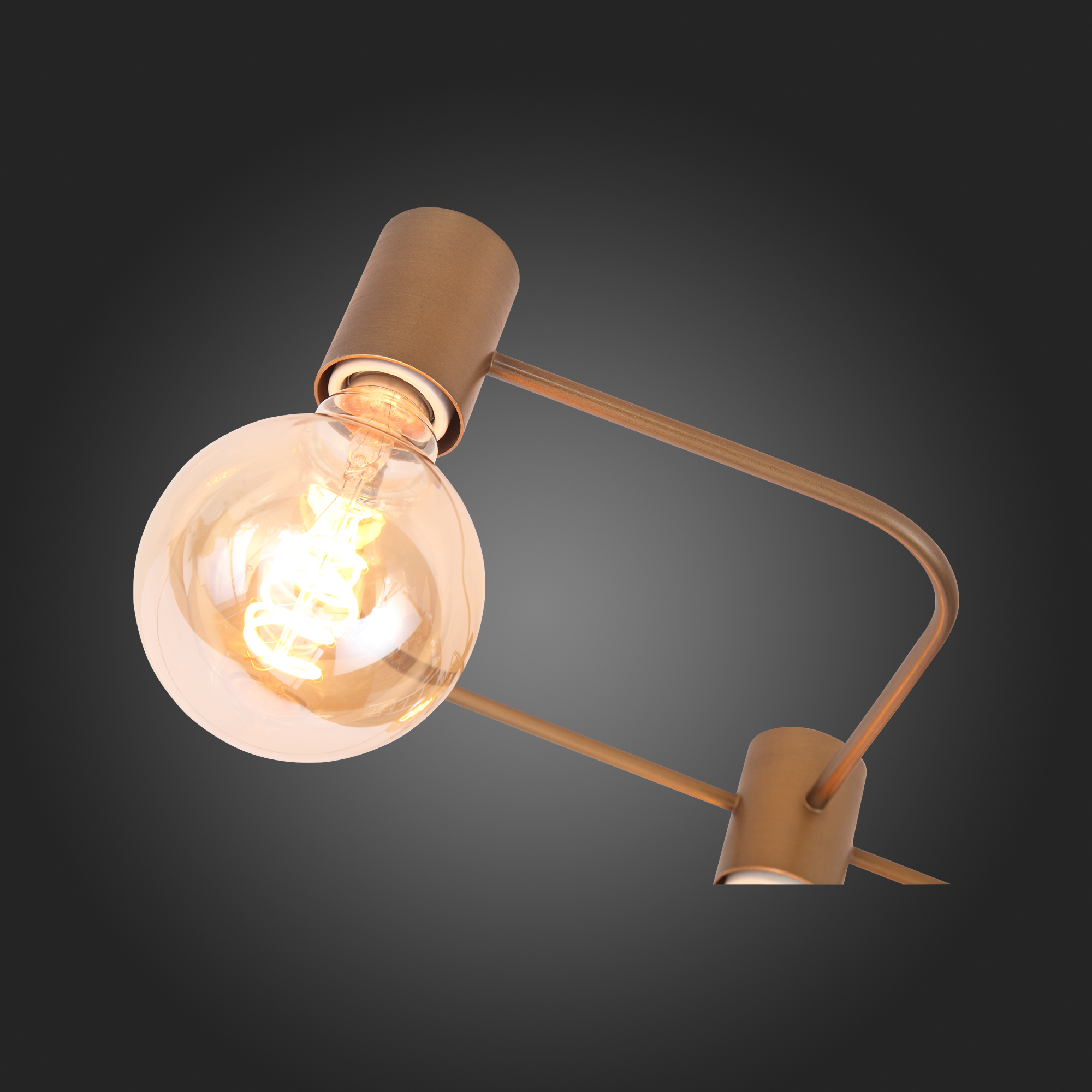 Люстра потолочная ST Luce TAVERE SL413.212.05