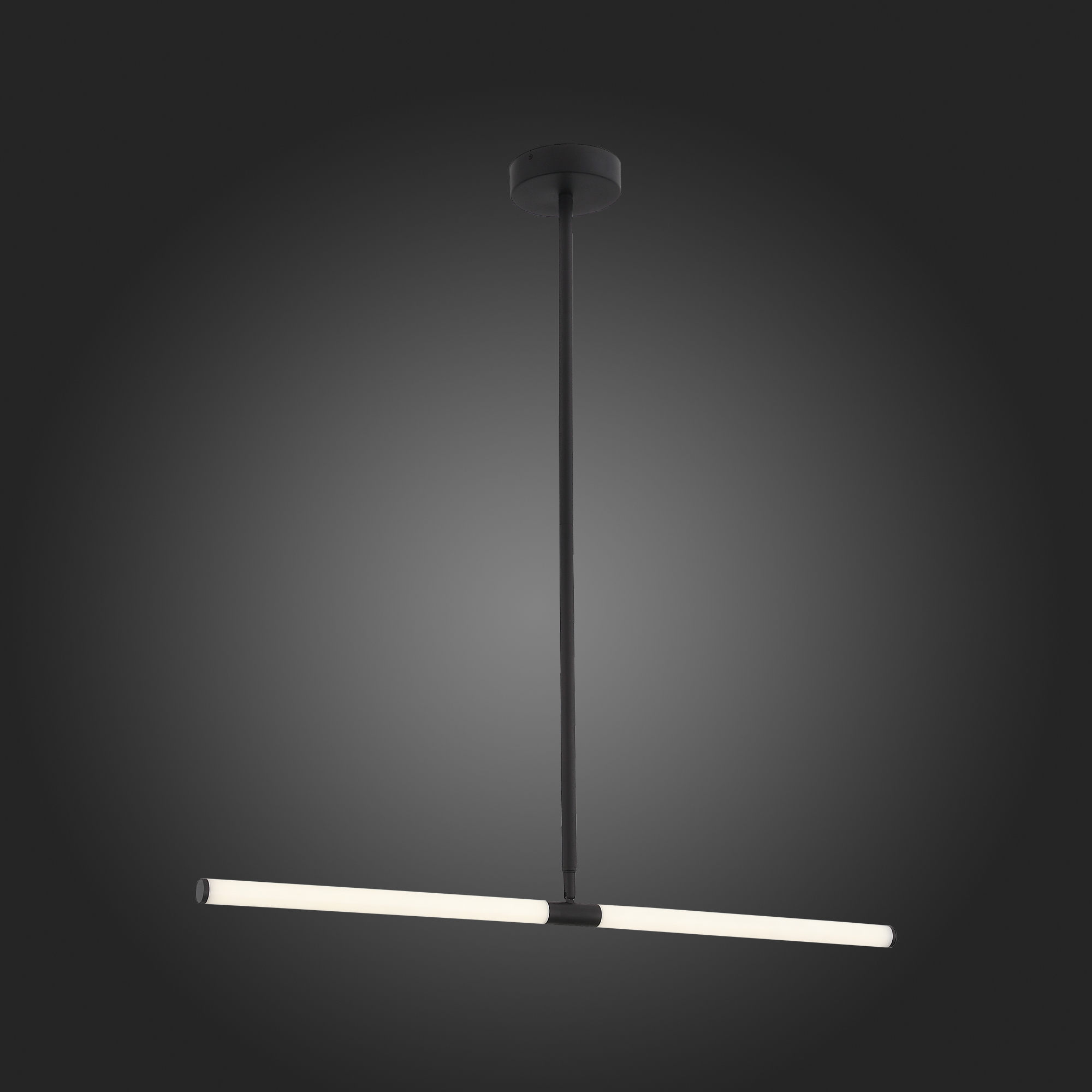 Светильник подвесной ST Luce BISARIA SL393.403.02