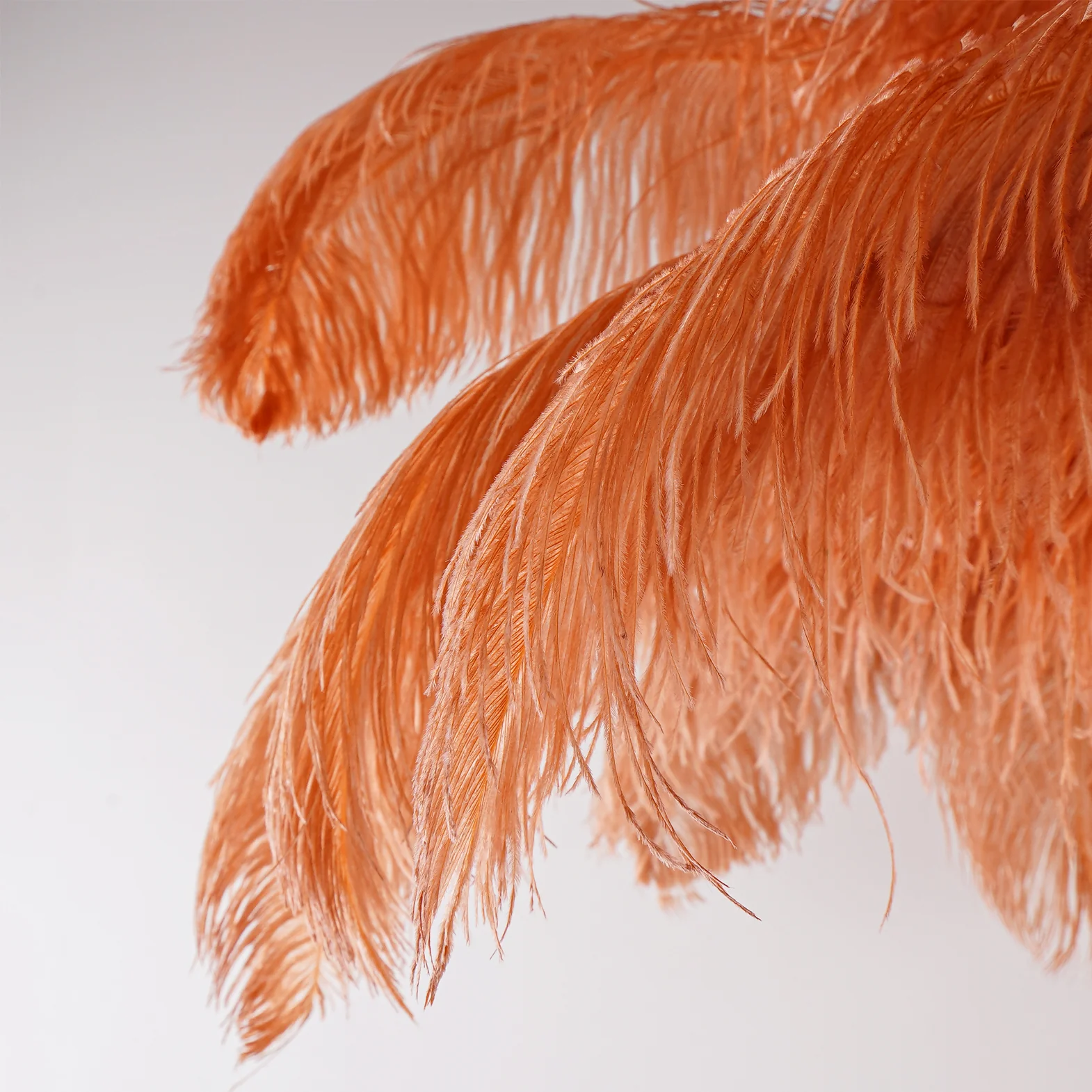 Торшер Ostrich Feather Brass - латунь, натуральный