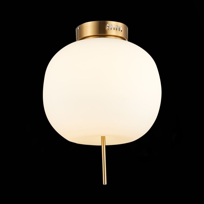 Светильник потолочный ST Luce LACUS SL1621.202.01