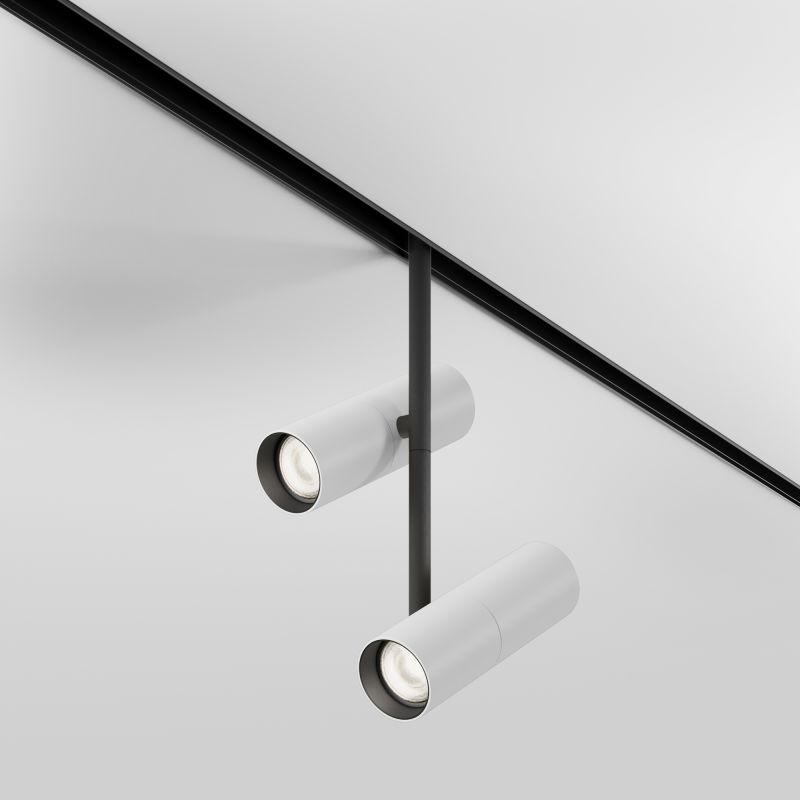 Трековый светильник Maytoni Elti Duo  TR005-4-2X12W-DS-BW