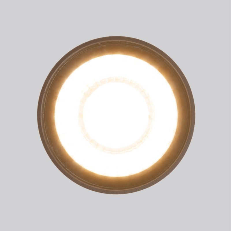 Накладной светодиодный влагозащищенный светильник Elektrostandart Light LED IP54 35132/H черный