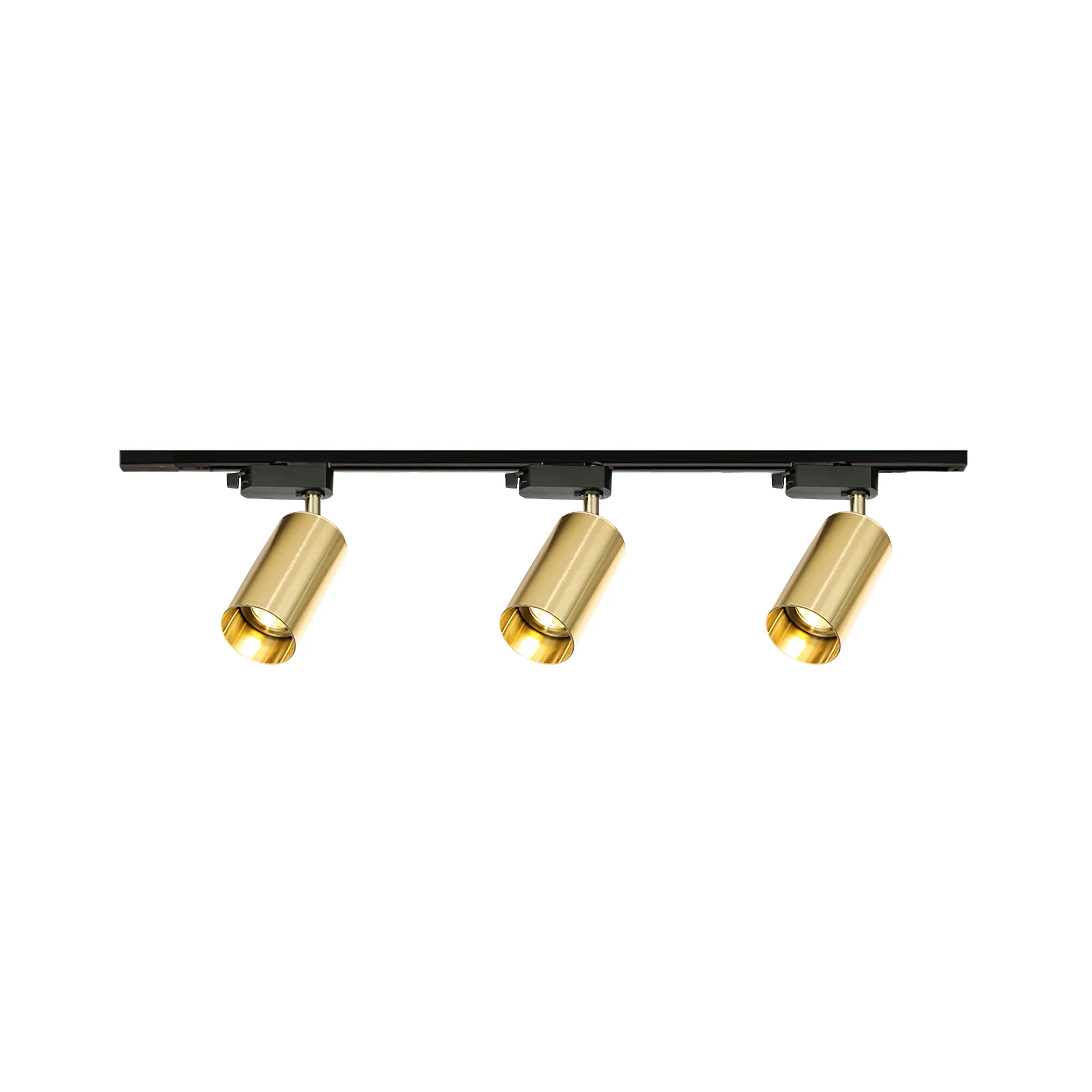 Трековый светильник Gilded Rail - 2 источника света 50см x 17см, черный, золотой