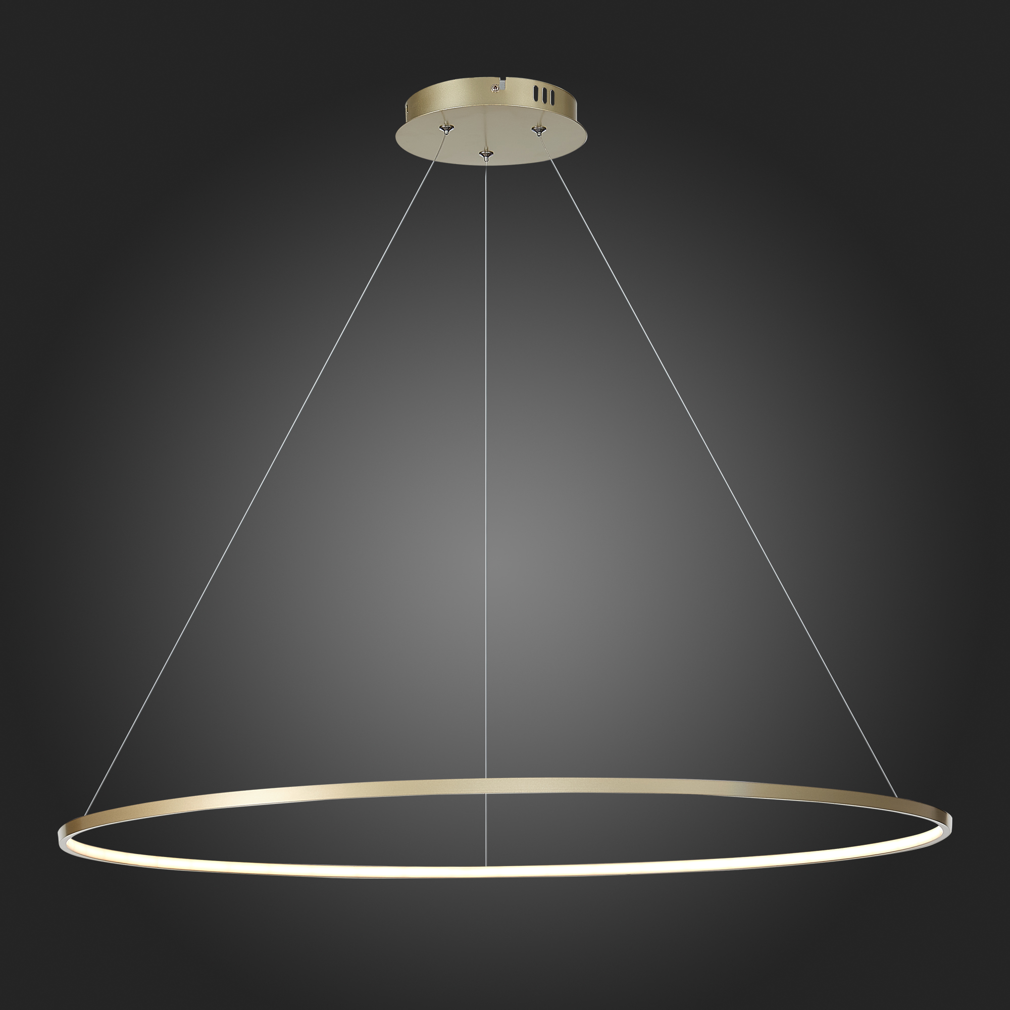 Светильник подвесной ST LUCE ERTO SL904.223.01
