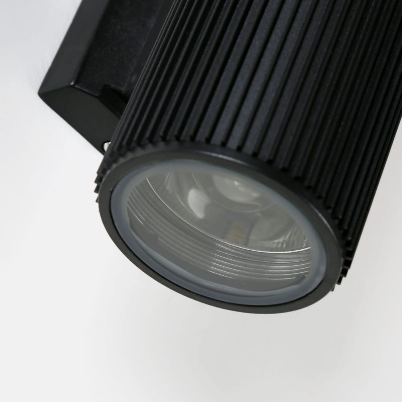 Уличный светильник Favourite Pola 2858-2W