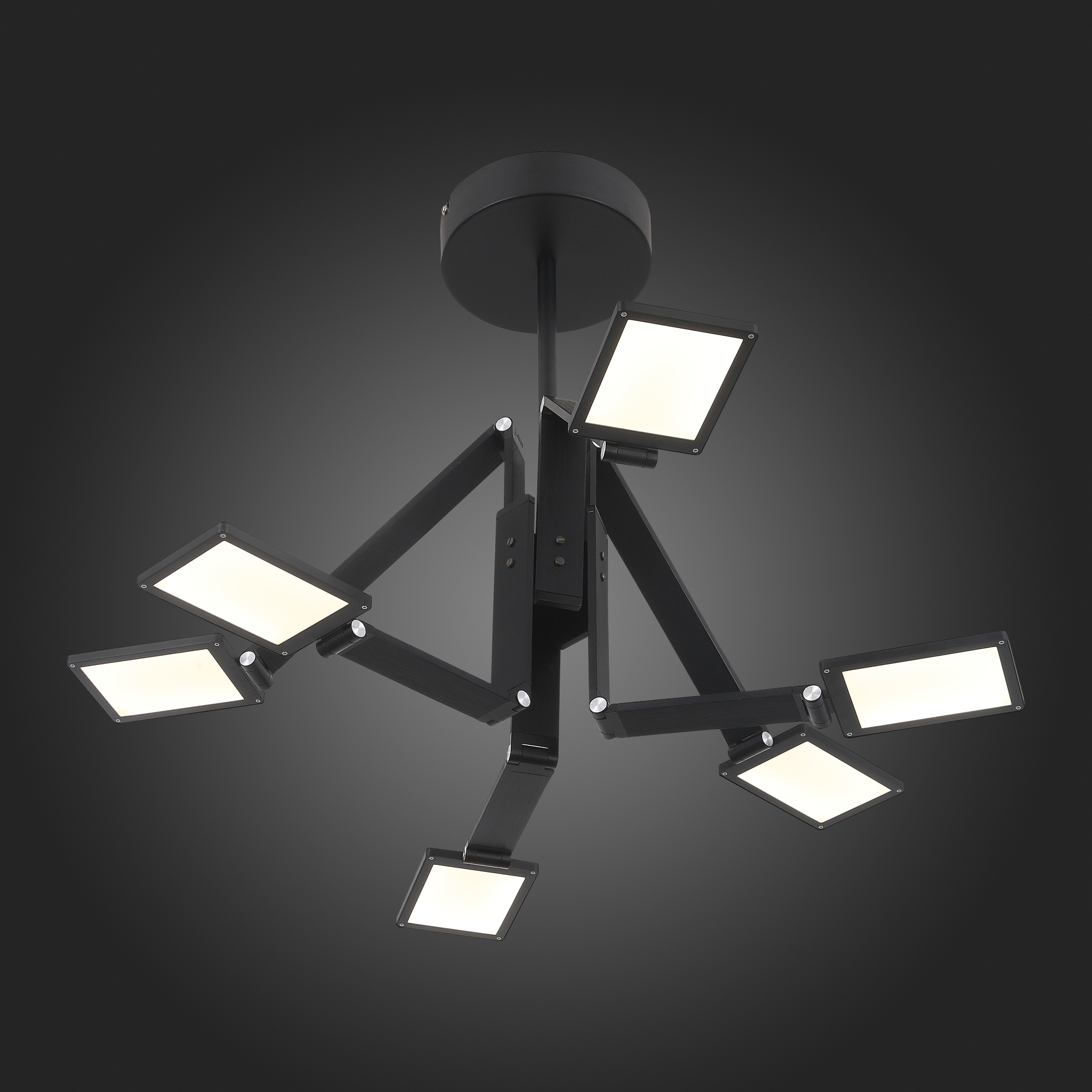 Светильник потолочный ST Luce TEOCOLI SL841.402.06