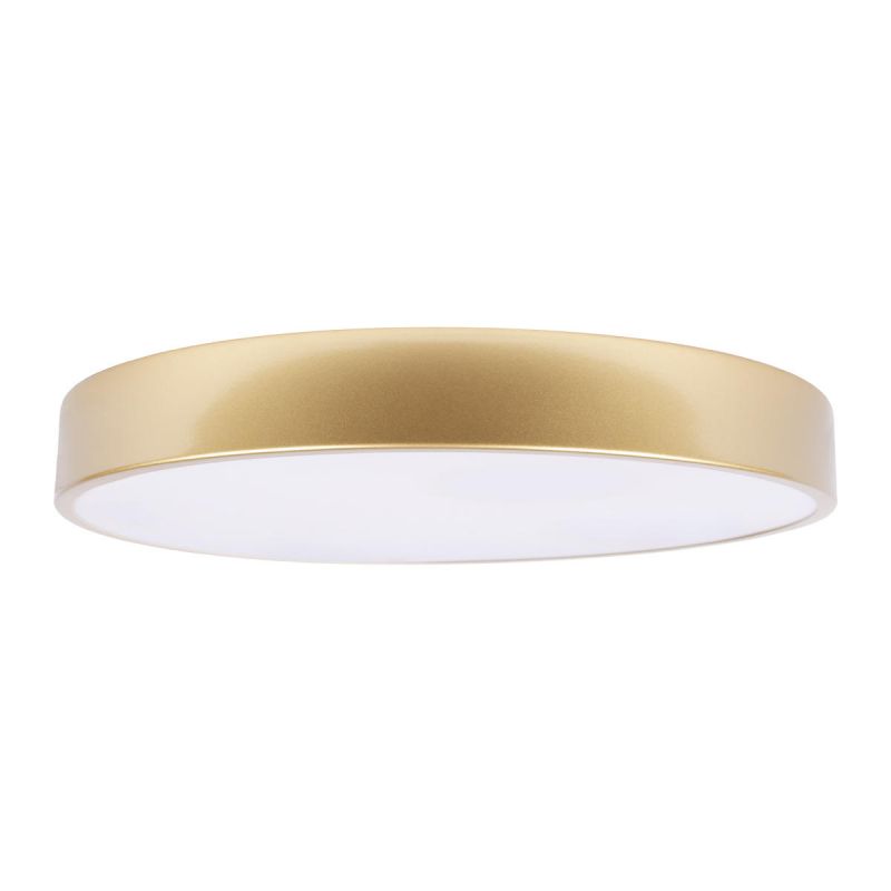 LOFT IT Flims Потолочный светильник 10228/A