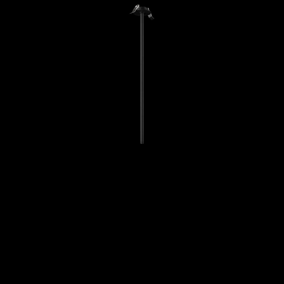 Потолочный светильник LOFT IT Cane LED 3W 4000K 10359/600 Black