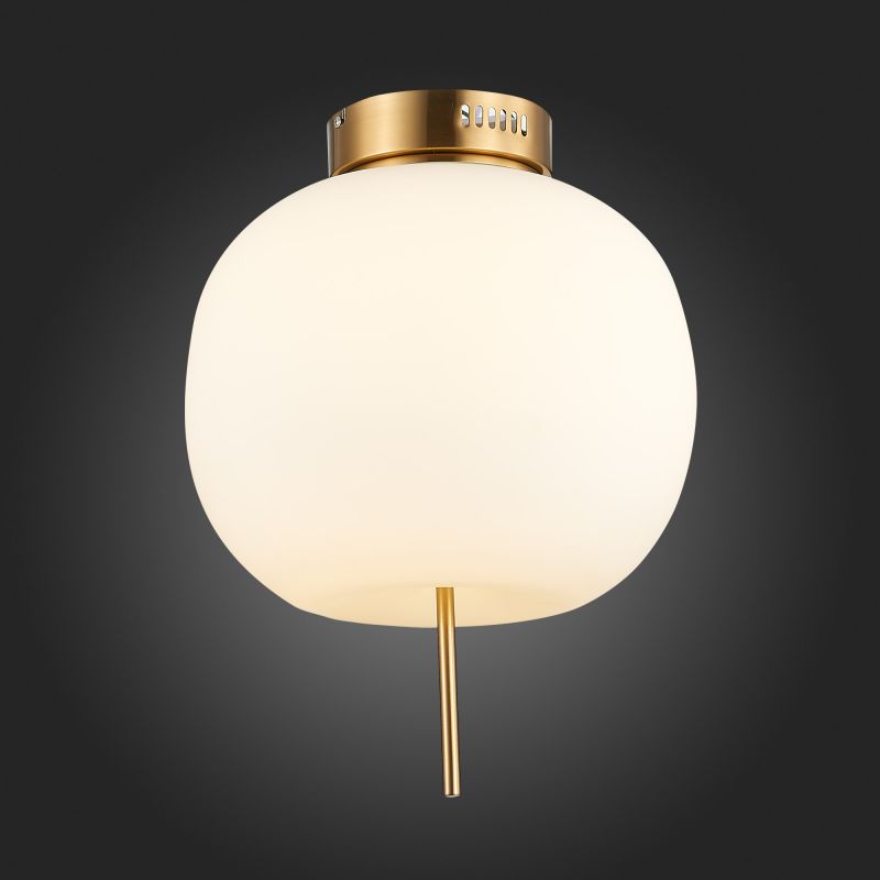 Светильник потолочный ST Luce LACUS SL1621.202.01