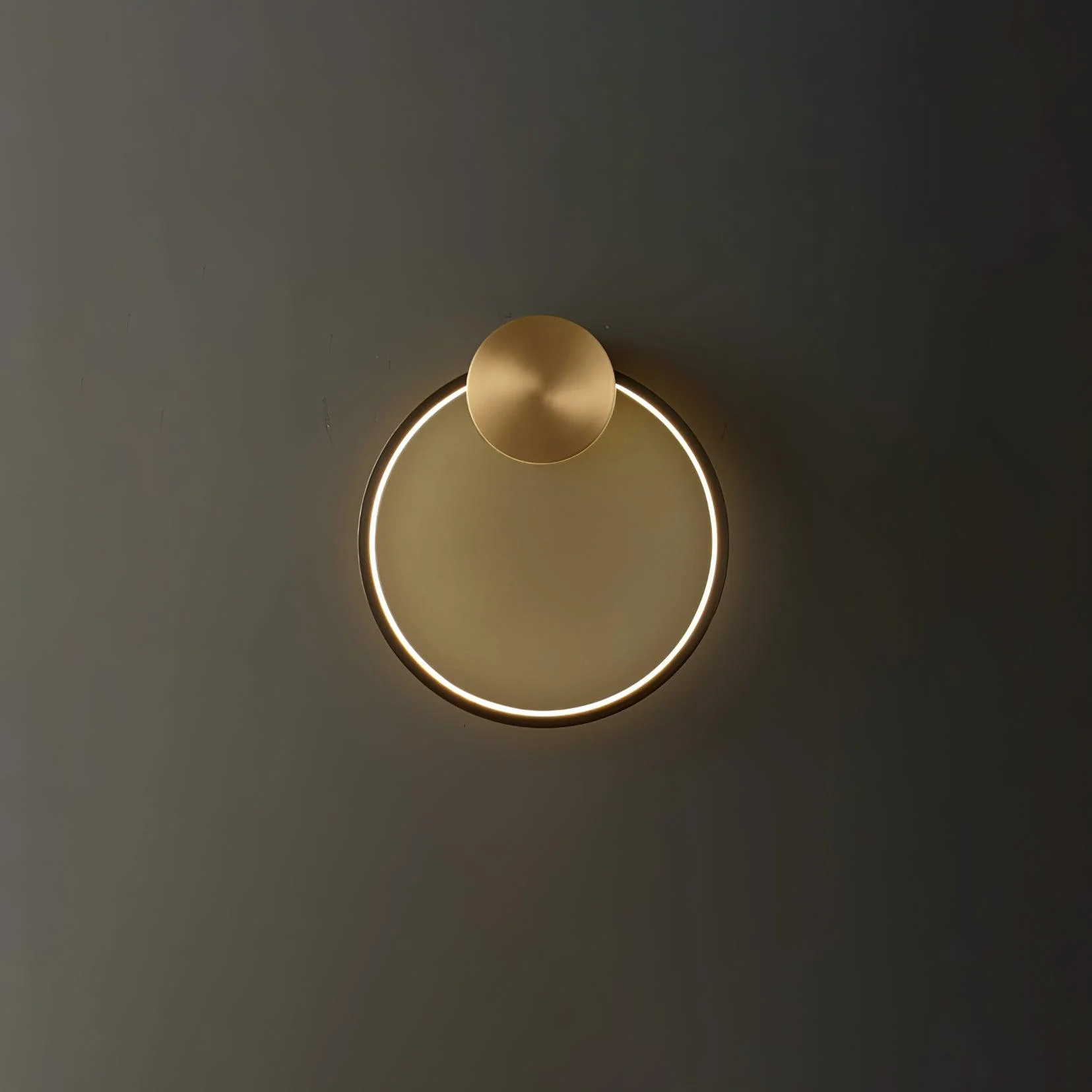 Ring Shaped LED Wall Light - Dia 20cm Set of 2 / Black & Brass / Three-Color Changing Light
