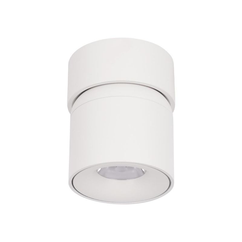 Накладной светильник Tictac Loft It (Light for You) 10180 White 3000K