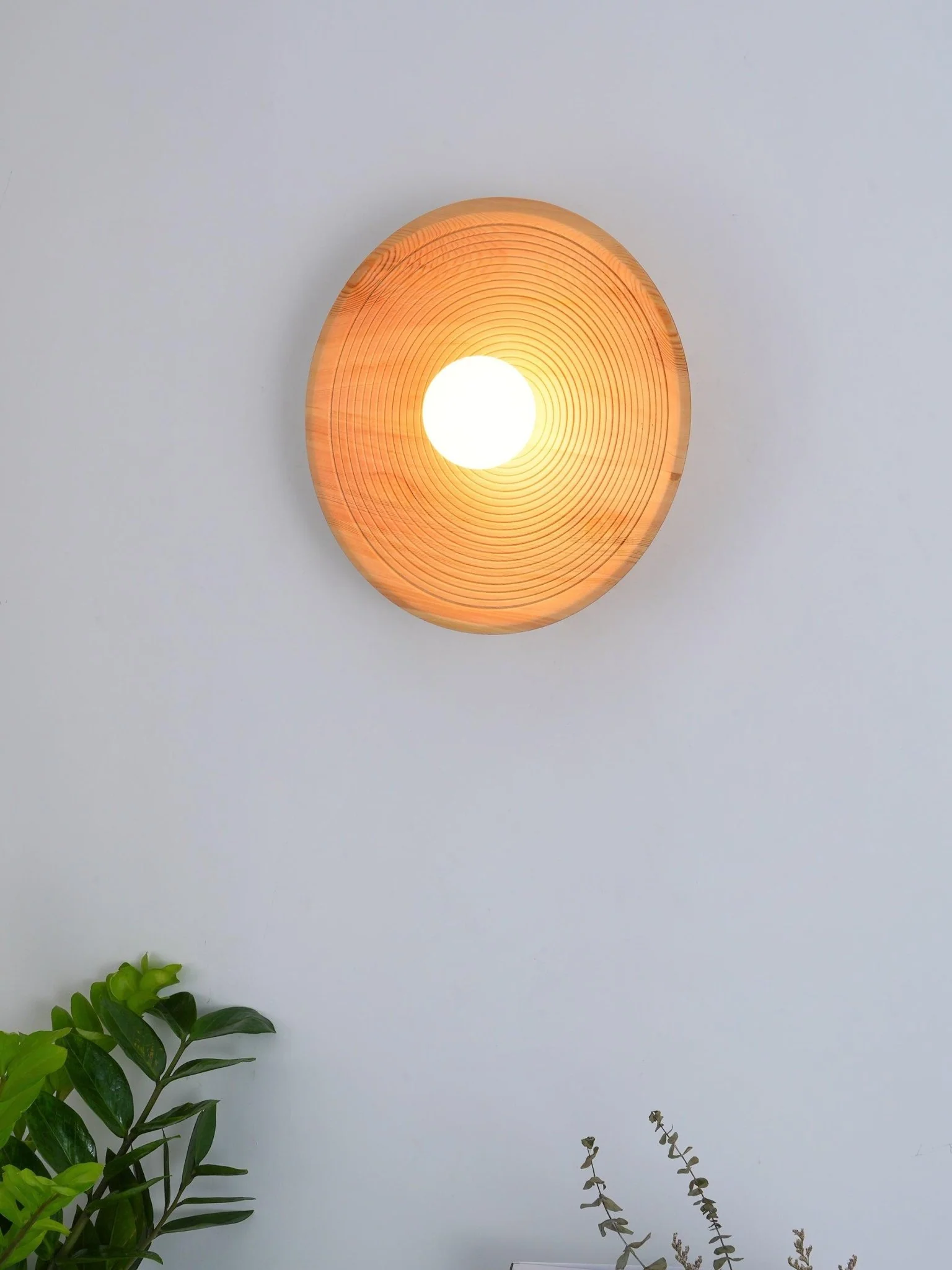 Lumina Contour Wooden Sconce - ∅ 11.0″ / Dia 28cm Set of 2 / Wood color