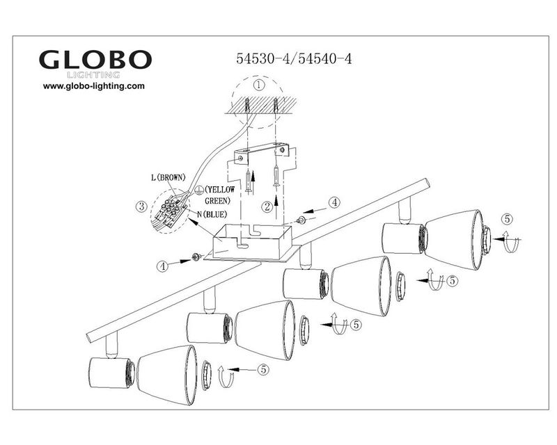 Спот Globo 54530-4
