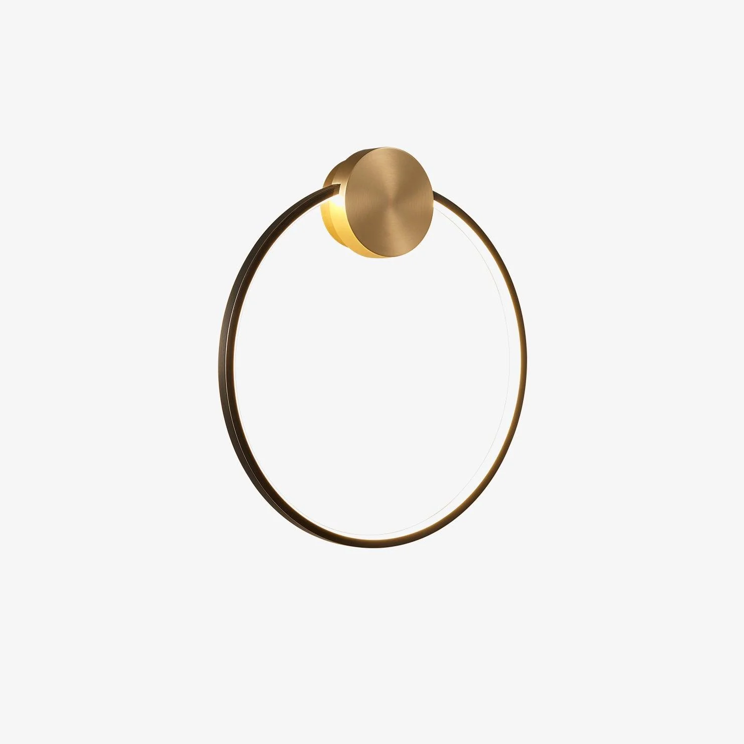 Ring Shaped LED Wall Light - Dia 20cm Set of 2 / Black & Brass / Three-Color Changing Light