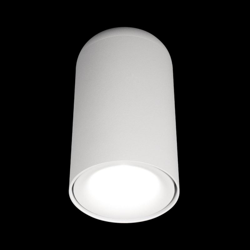 Потолочный светильник Tictac Loft It (Light for You) 10220 White 4000K