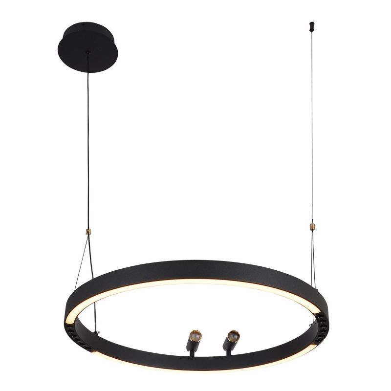 Подвесная люстра F-Promo Slinga 4474-1P LED 3000-6500 черный, белый пластик