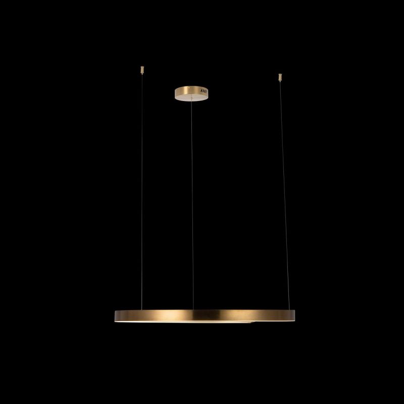 Светильник подвесной Loft It Ring 10013L