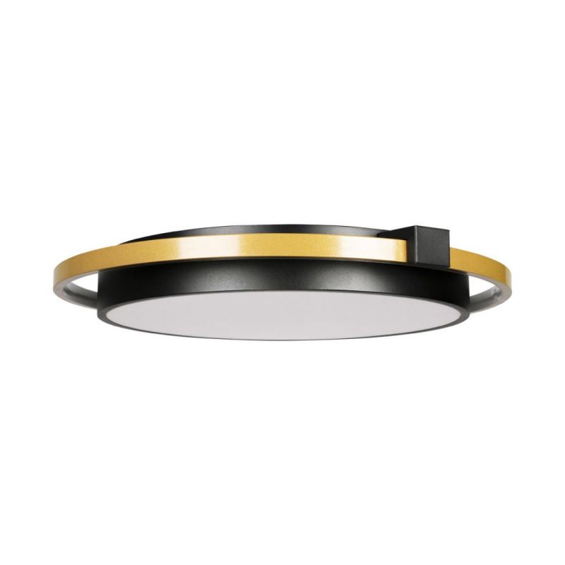 Потолочный светильник Loft It (Light for You) Mike 10170