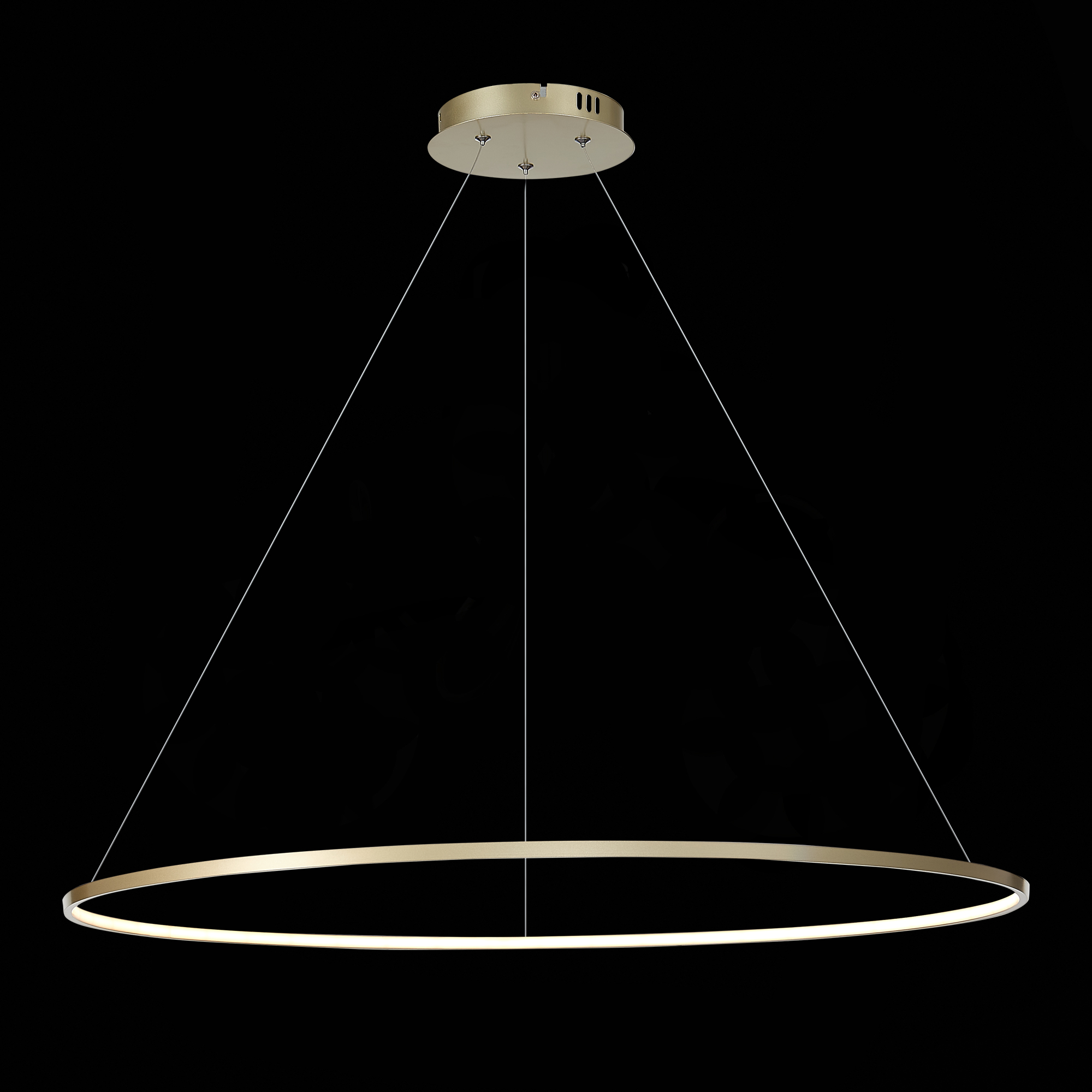 Светильник подвесной ST LUCE ERTO SL904.223.01
