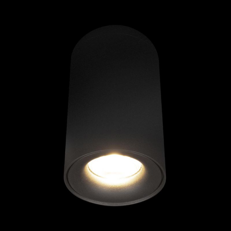 Потолочный светильник Tictac Loft It (Light for You) 10220 Black 3000K