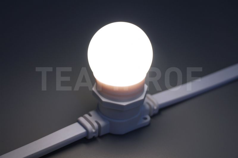 Лампа для Белт-лайта Teamprof Е27, 24В, 2 Вт TPF-B-E27-G45-24V-2W-W