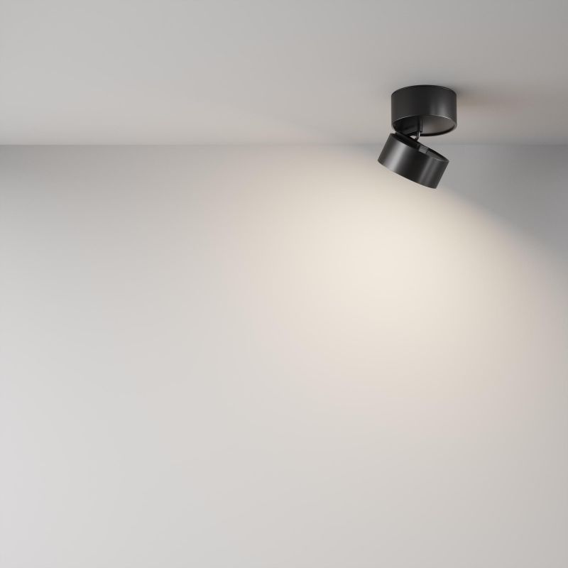 Потолочный светильник Maytoni C024CL-12W4K-B-1