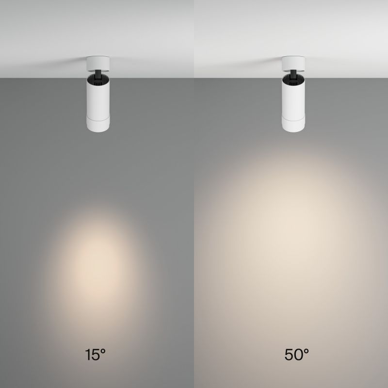 Потолочный светильник Maytoni Technical C055CL-L12W4K-Z-W
