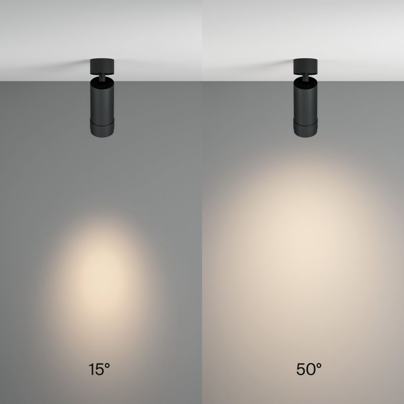 Потолочный светильник Maytoni Technical C055CL-L12W4K-Z-B