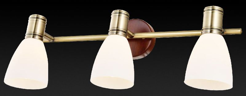 Спот SHARYL TL3720Y-03BB