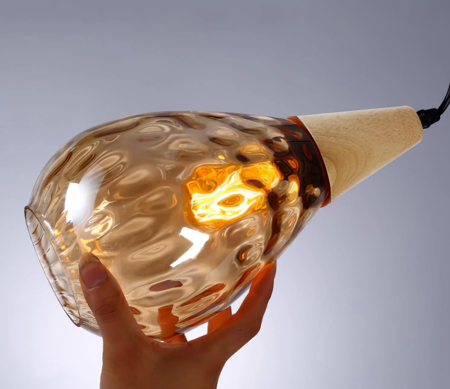 Подвесной светильник Besnier Glass - ∅20см x 23см, черный