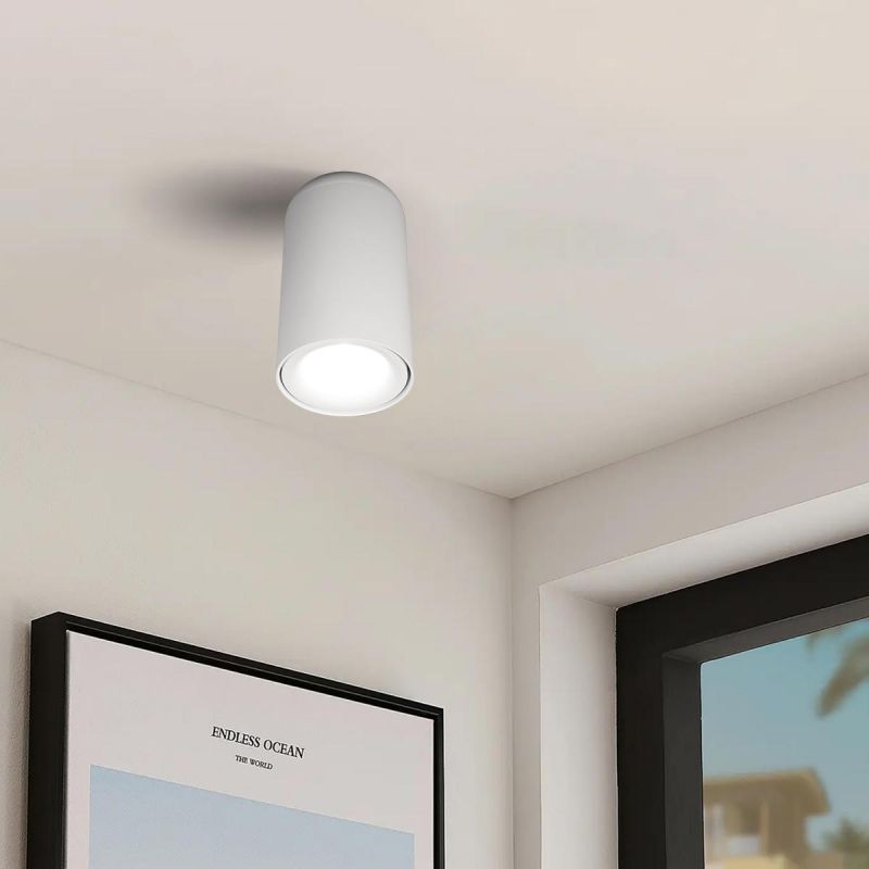 Потолочный светильник Tictac Loft It (Light for You) 10220 White 4000K