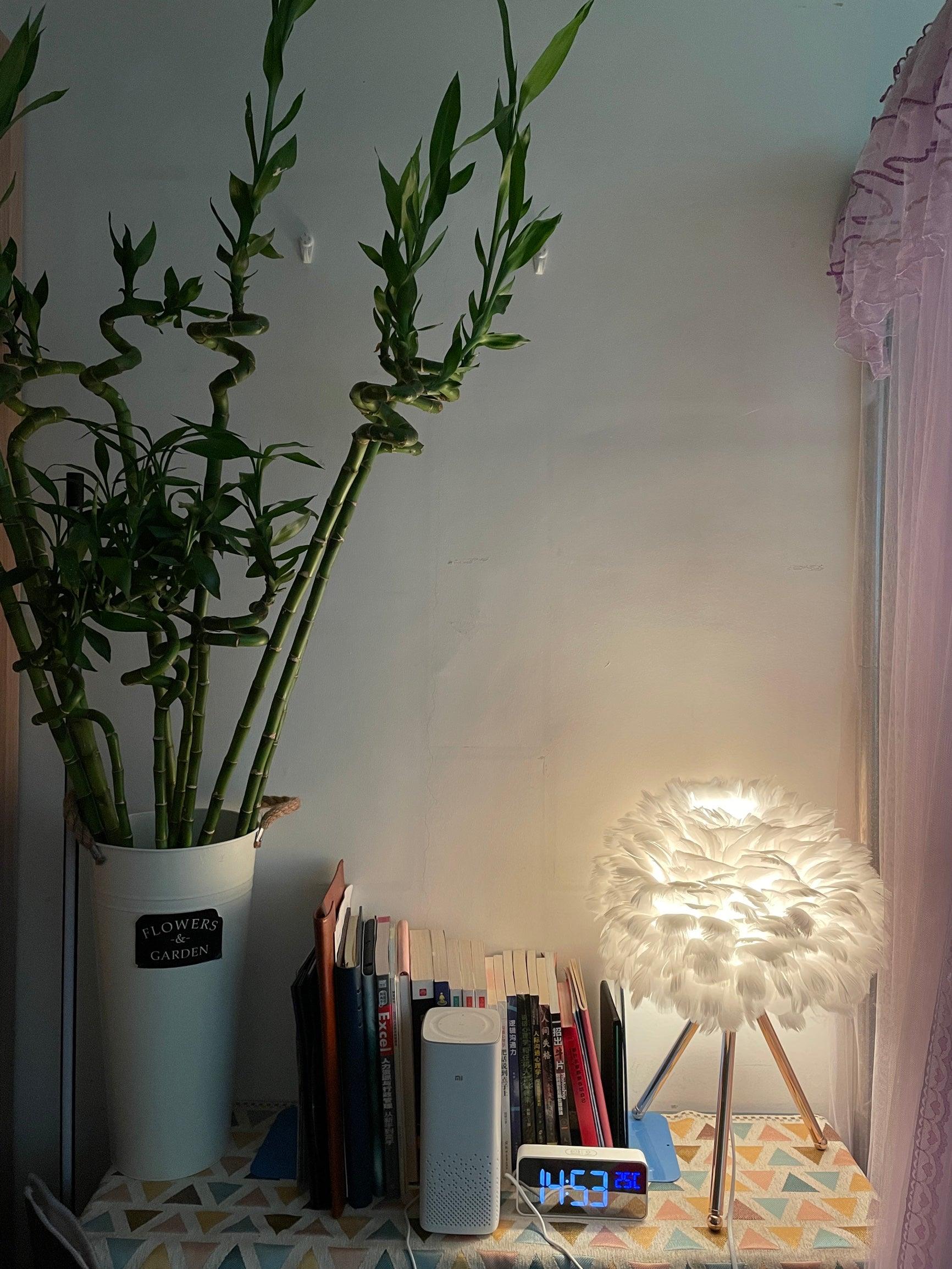 Goose Feather Table Lamp - ∅ 13.8″ x H 18.5″ / Dia 35cm x H 47cm / Gold+Grey / UK plug