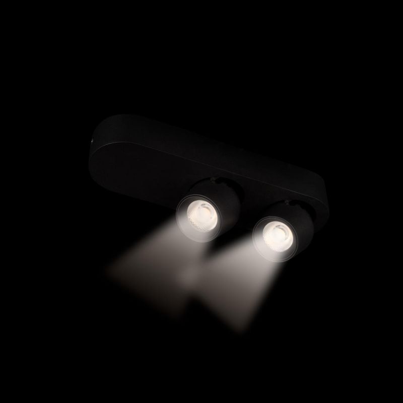 Накладной светильник LOFT IT Quiet 10320/2 Black