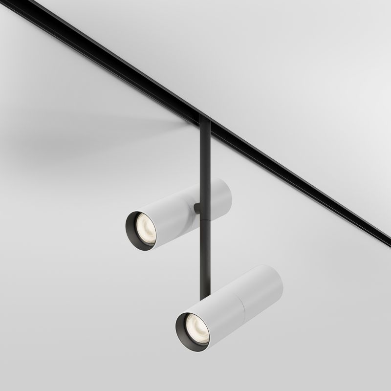 Трековый светильник Maytoni Elti Duo  TR005-2-2X12W3K-BW