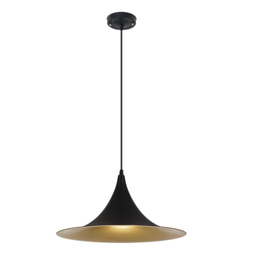 Подвесной светильник Arte Lamp CARMEL 40W E14 A7080SP-1BK